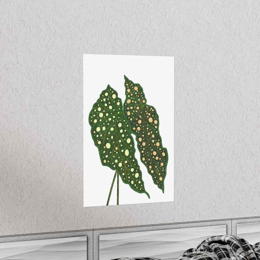 Begonia Maculata Print - Botanical Wall Art on Museum Grade Paper | Matte Finish Unframed