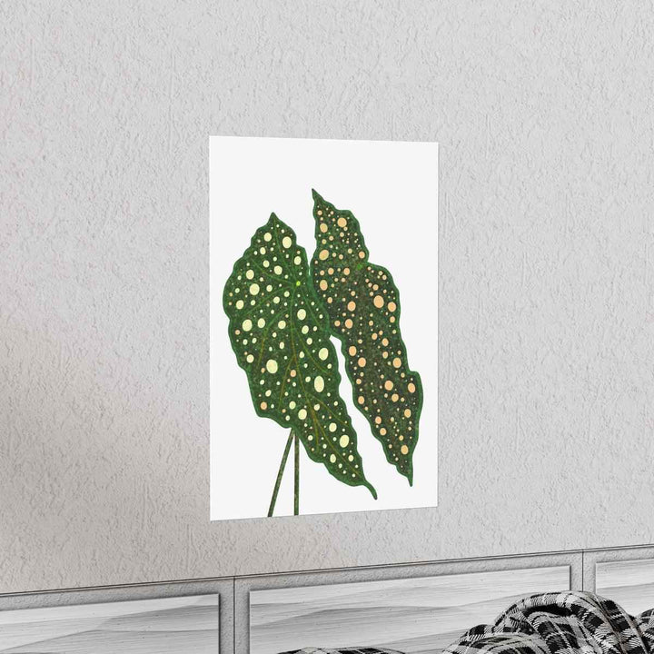 Begonia Maculata Print - Botanical Wall Art on Museum Grade Paper | Matte Finish Unframed