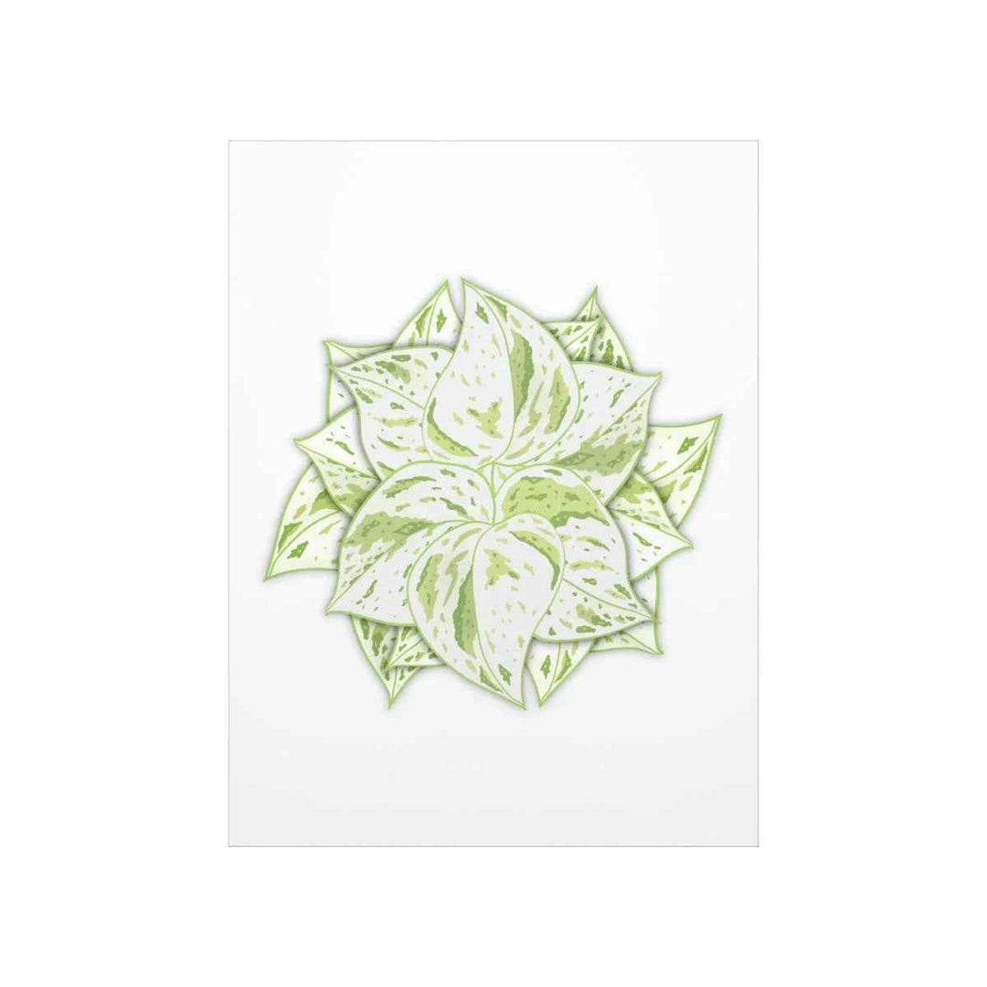 Snow Queen Pothos Print – Variegated Pothos Art on Museum Grade Paper Unframed