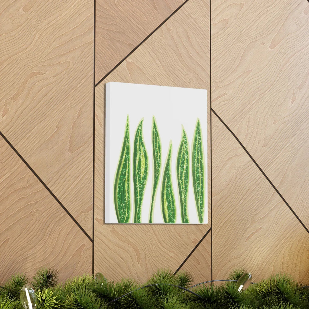 Snake Plant Canvas | Botanical Canvas Decor - Matte Finish Artwork for Living Room - Laura Christine Photography & Design