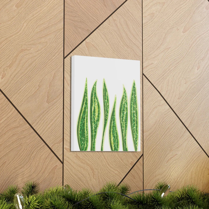 Snake Plant Canvas | Botanical Canvas Decor - Matte Finish Artwork for Living Room - Laura Christine Photography & Design