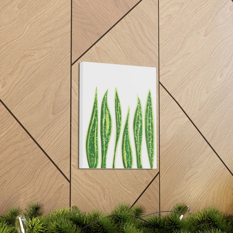 Snake Plant Canvas