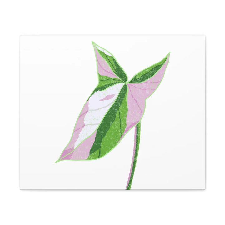 Syngonium Tricolor Canvas | Botanical Canvas Art Print With Matte Finish - Laura Christine Photography & Design