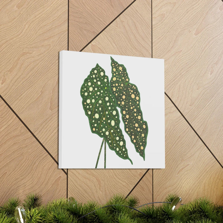 Begonia Maculata Canvas | Premium Canvas Art Print - Matte Finish, Durable Wall Decor - Laura Christine Photography & Design