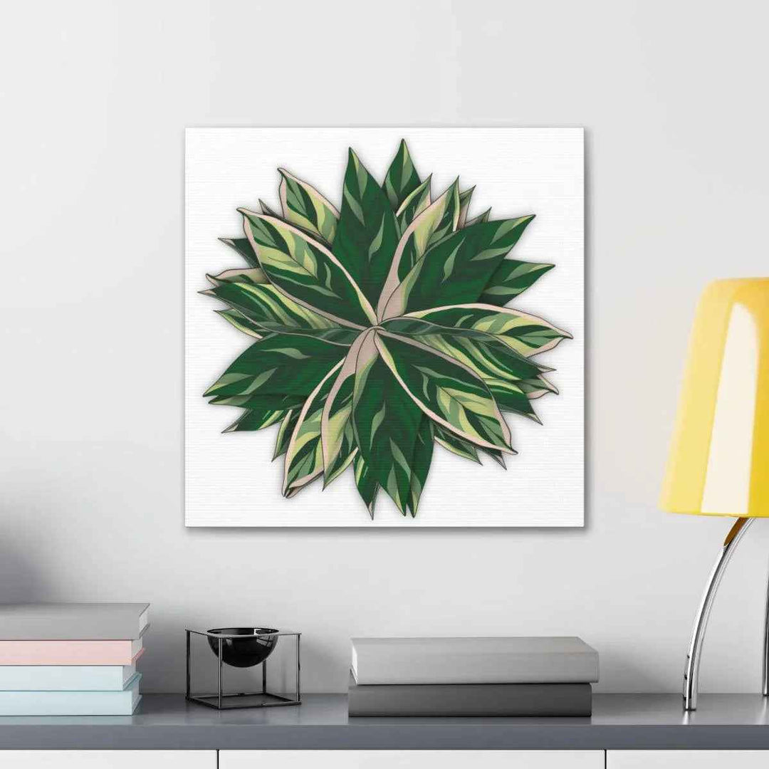 Stromanthe Triostar Canvas - Pastel Stripe Canvas Art Print With Vivid Color Artwork