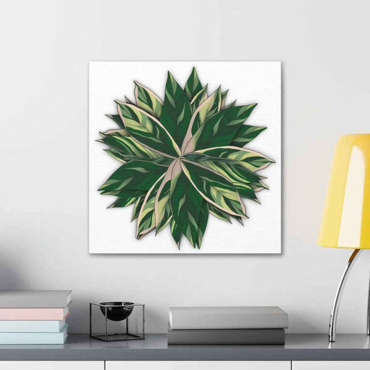 Stromanthe Triostar Canvas - Pastel Stripe Canvas Art Print With Vivid Color Artwork