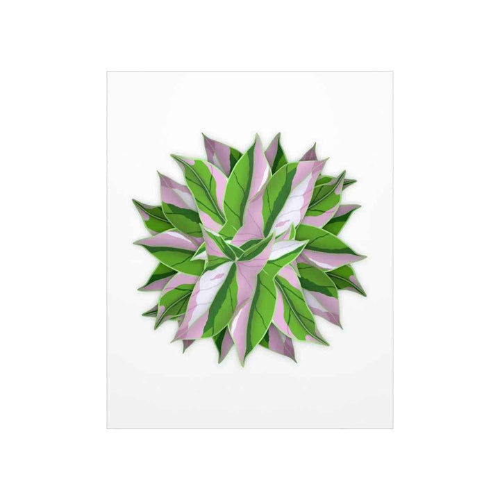 Tricolor Syngonium Print - Botanical Poster on Museum Grade Paper | Archival Ink Unframed