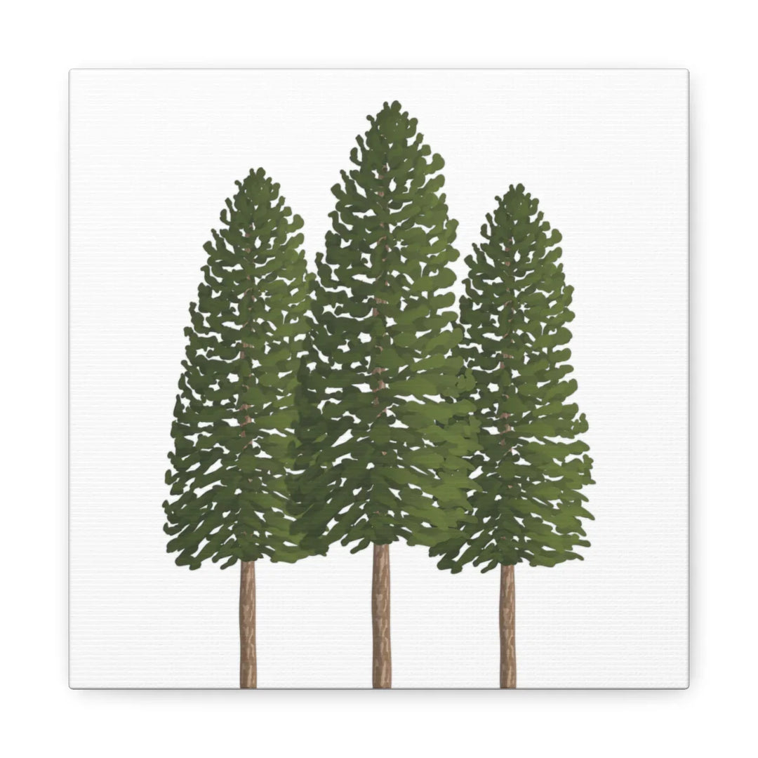 Ponderosa Pine Canvas - Large Stretched Cotton Canvas Art Print With Matte Finish