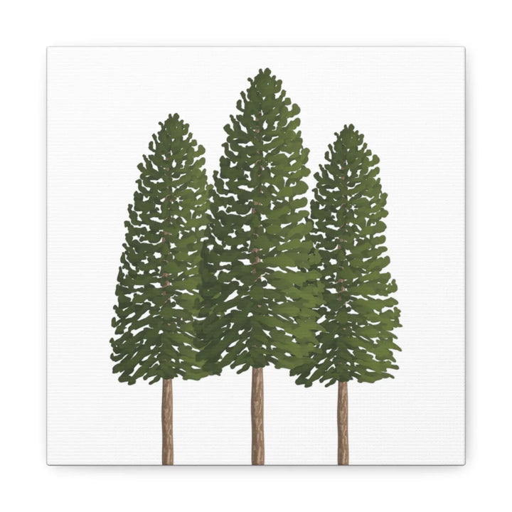 Ponderosa Pine Canvas - Large Stretched Cotton Canvas Art Print With Matte Finish