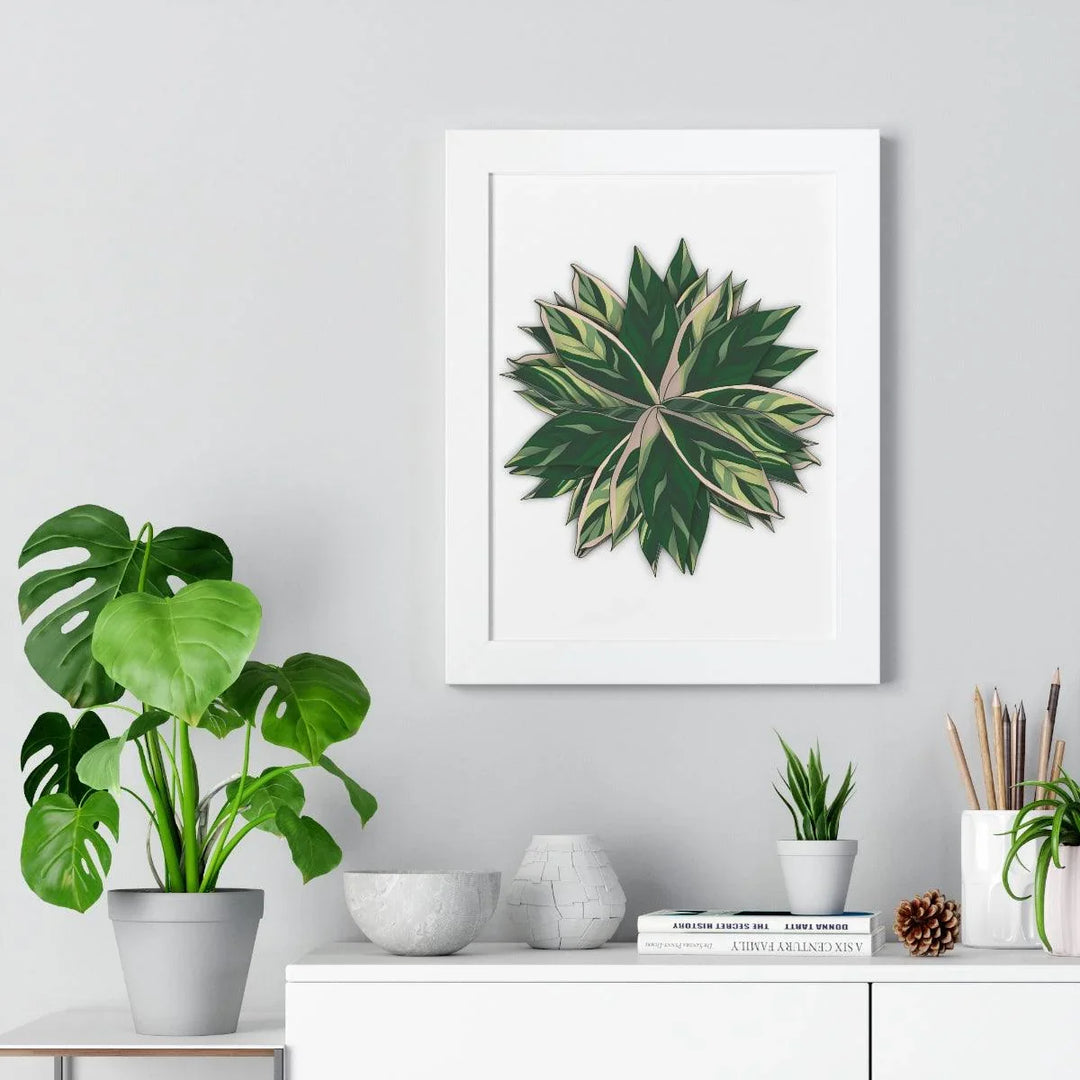 Stromanthe Triostar Framed Print, Poster, Laura Christine Photography & Design, Framed, Home & Living, Indoor, Paper, Posters, Laura Christine Photography & Design, laurachristinedesign.com