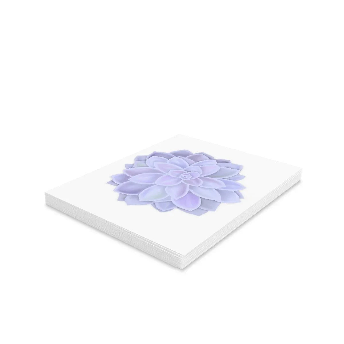 Graptopetalum 'Murasaki'  Succulent Greeting Card, Paper products, Laura Christine Photography & Design, Greeting Card, Holiday Picks, Home & Living, Paper, Postcard, Postcards, Laura Christine Photography & Design, laurachristinedesign.com