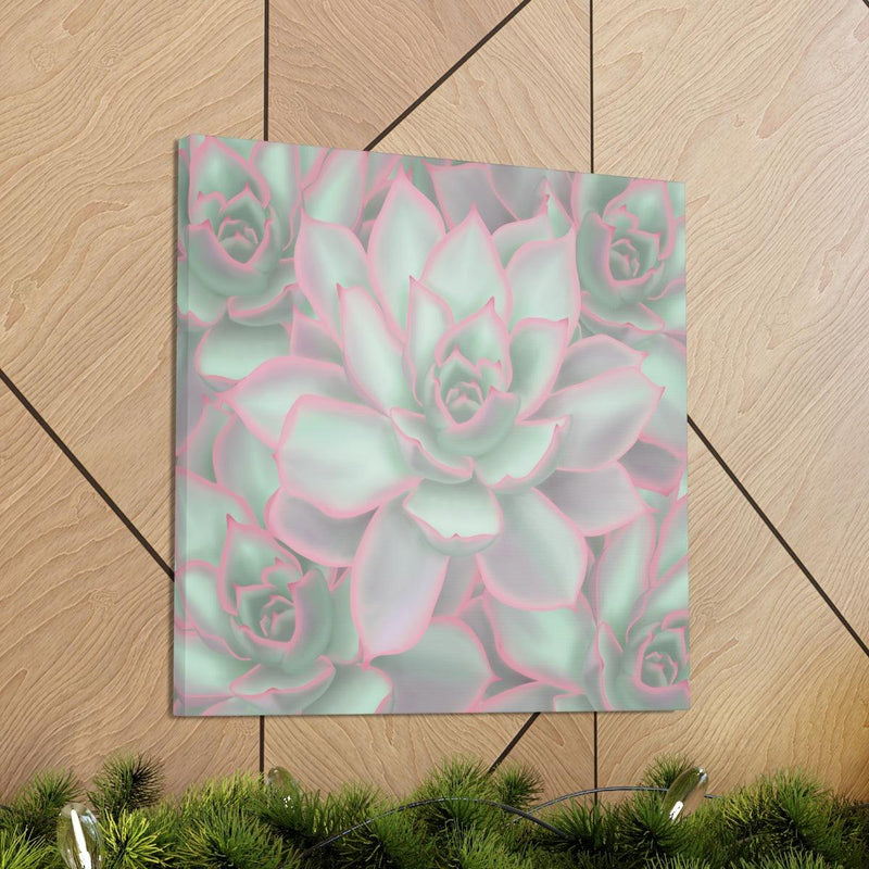 Echeveria Violet Queen Succulent Canvas, Canvas, Laura Christine Photography & Design, Art & Wall Decor, Canvas, Hanging Hardware, Home & Living, Indoor, Laura Christine Photography & Design, laurachristinedesign.com