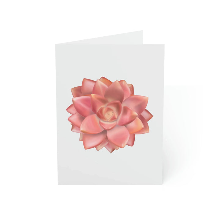 Succulent Greeting Card – California Sunset Rosette | Matte Finish Plant Art