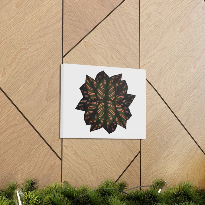 Calathea Pinstripe Canvas – Botanical Canvas Art Print | Matte Finish Wall Decor