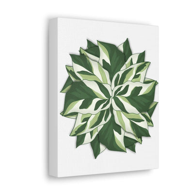 Calathea White Fusion Canvas, Canvas, Laura Christine Photography & Design, Art & Wall Decor, Canvas, Hanging Hardware, Home & Living, Indoor, Laura Christine Photography & Design, 