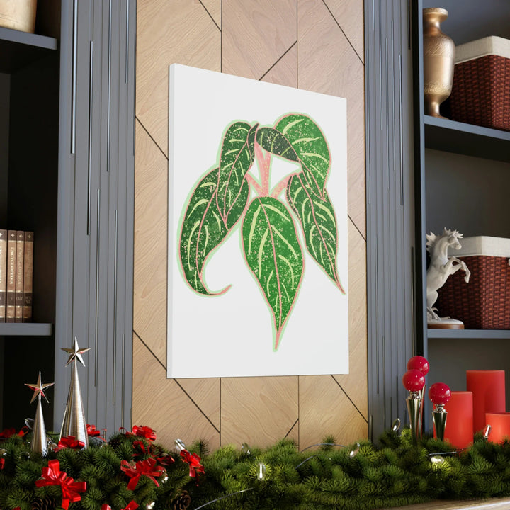 Aglaonema Plant Canvas | Sparkling Plant Artwork - Colorfast Canvas Art Print Decor