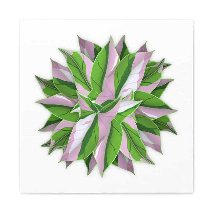 Tricolor Syngonium Canvas - Durable Canvas Art Print With Matte Finish & Botanical Design