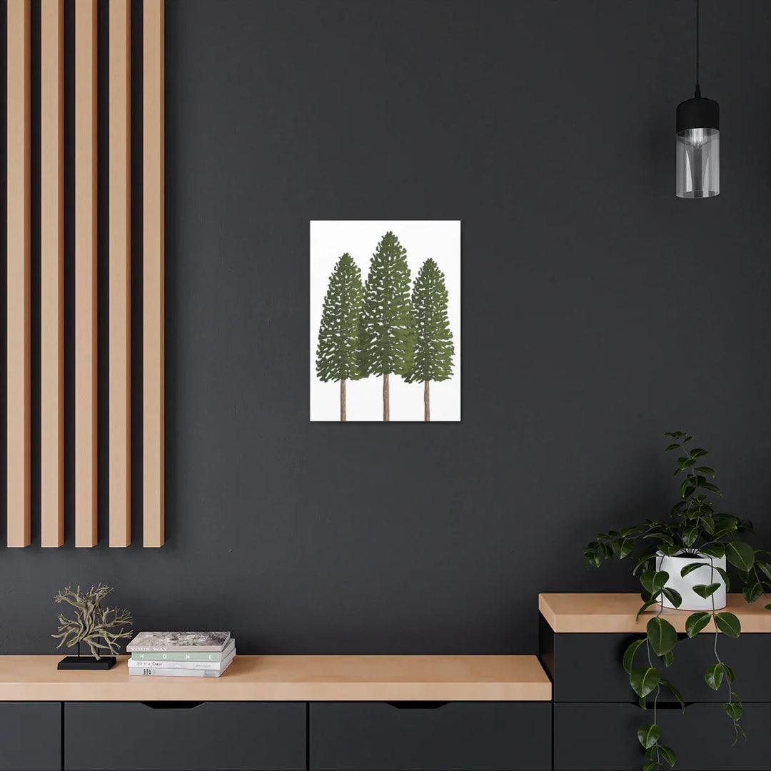 Ponderosa Pine Canvas - Large Stretched Cotton Canvas Art Print With Matte Finish