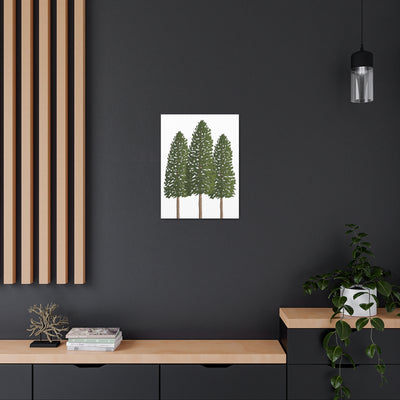 Ponderosa Pine Canvas