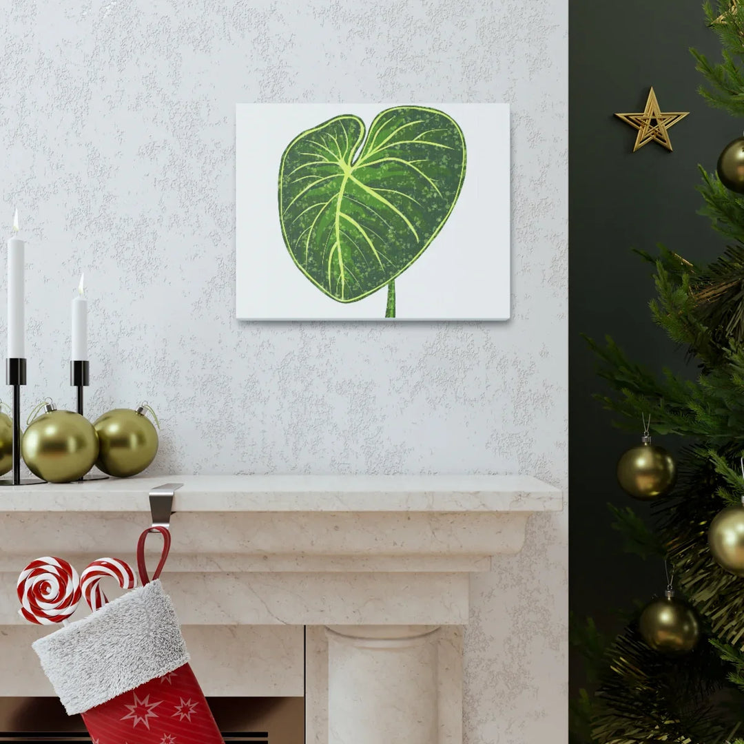 Philodendron Gloriosum Canvas - Stretched Canvas Art Print | Matte Indoor Wall Art - Laura Christine Photography & Design