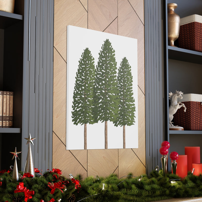 Ponderosa Pine Canvas