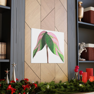 Pink Princess Philodendron Canvas