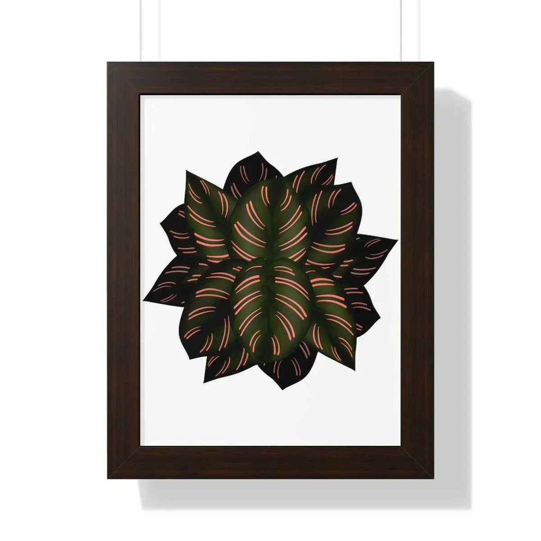 Calathea Pinstripe Print - Framed Botanical Art With Matte Finish & Acrylic Cover