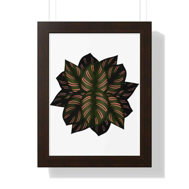 Calathea Pinstripe Print - Framed Botanical Art With Matte Finish & Acrylic Cover