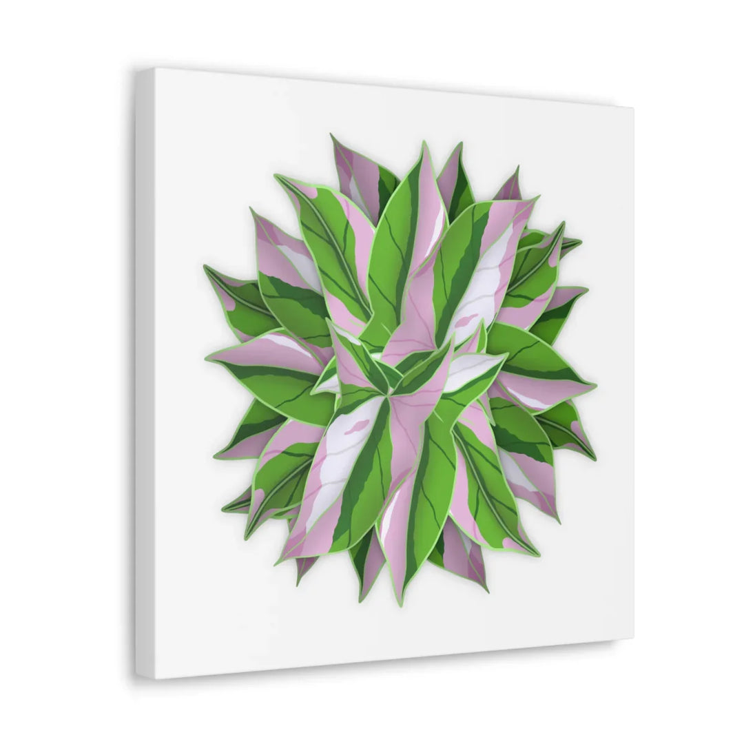 Tricolor Syngonium Canvas - Durable Canvas Art Print With Matte Finish & Botanical Design - Laura Christine Photography & Design