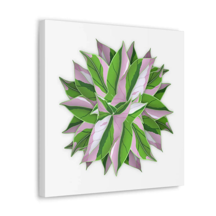 Tricolor Syngonium Canvas - Durable Canvas Art Print With Matte Finish & Botanical Design - Laura Christine Photography & Design