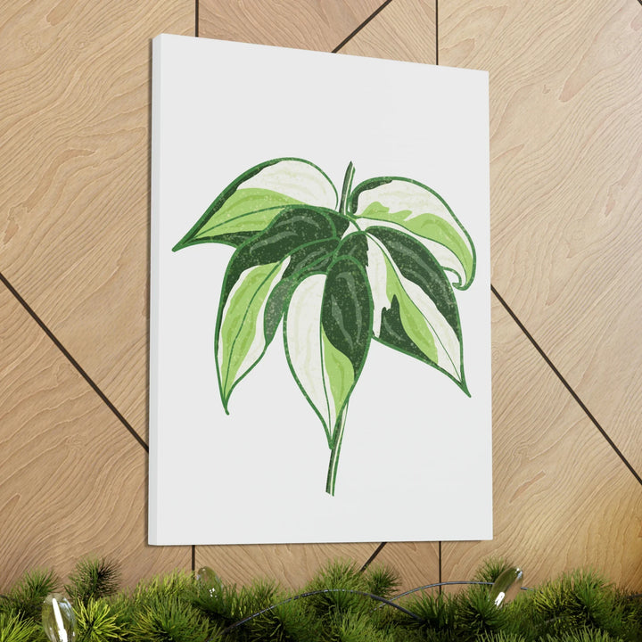 Philodendron Canvas Print - Cream Splash Variegated Plant Art on Matte Cotton Canvas