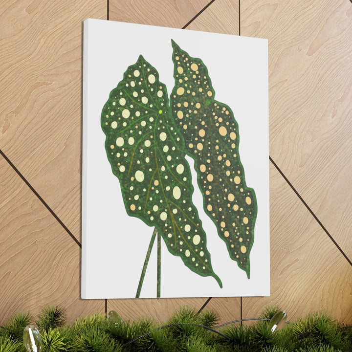 Begonia Maculata Canvas | Premium Canvas Art Print - Matte Finish, Durable Wall Decor - Laura Christine Photography & Design