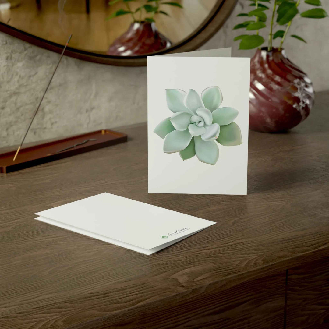 POS Pachyveria Greeting Card
