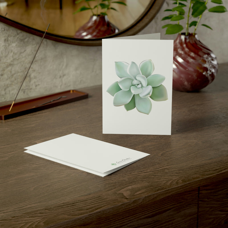 Pachyveria Haagei Succulent Greeting Card