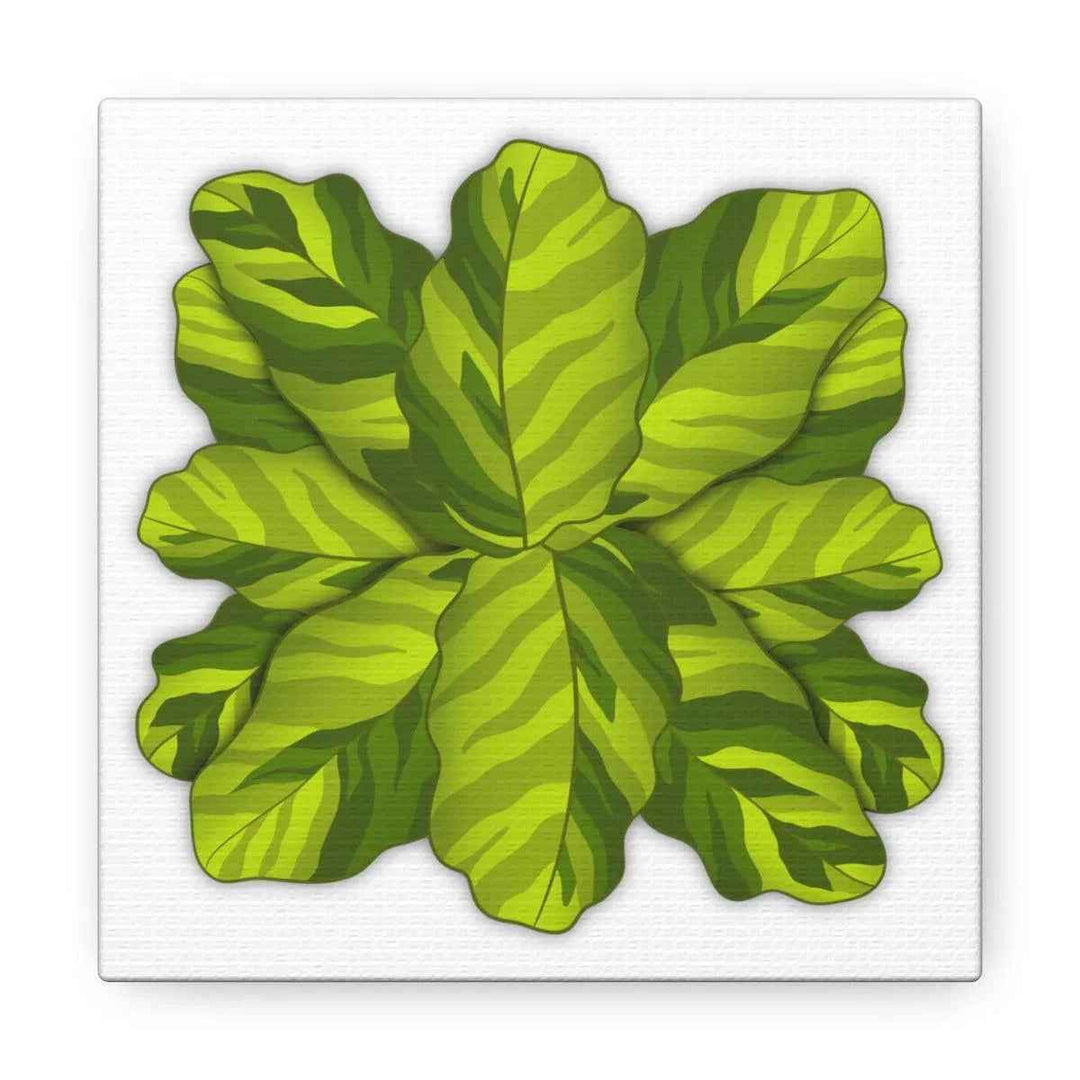 Calathea Yellow Fusion Canvas – Botanical Canvas Print With Unique Leaf Pattern Art