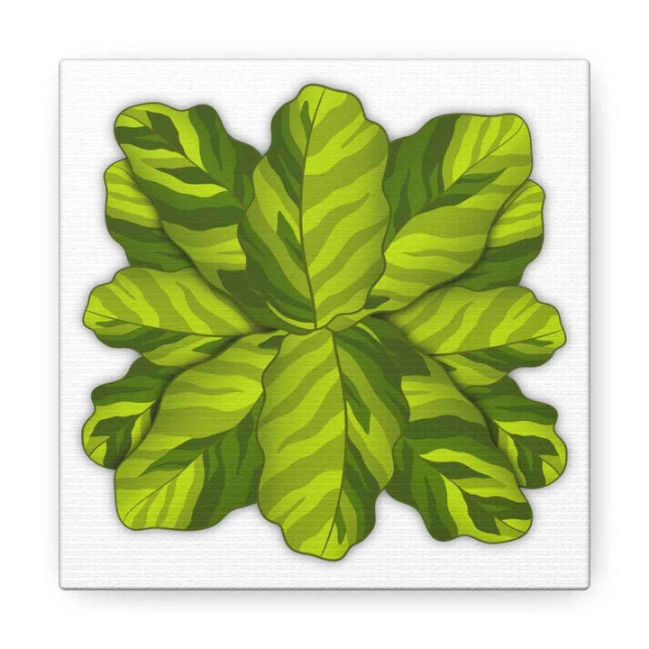 Calathea Yellow Fusion Canvas – Botanical Canvas Print With Unique Leaf Pattern Art
