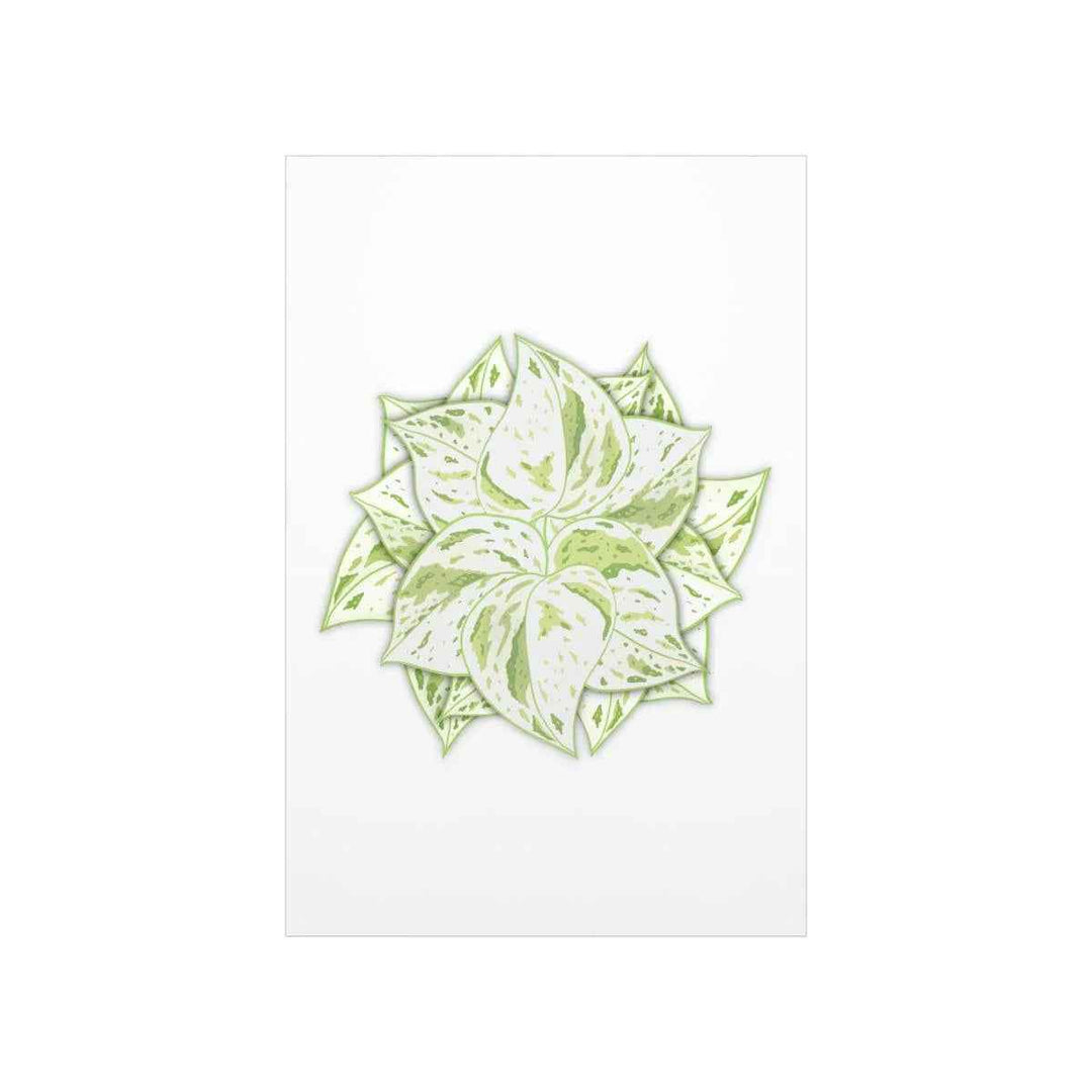 Snow Queen Pothos Print – Variegated Pothos Art on Museum Grade Paper Unframed