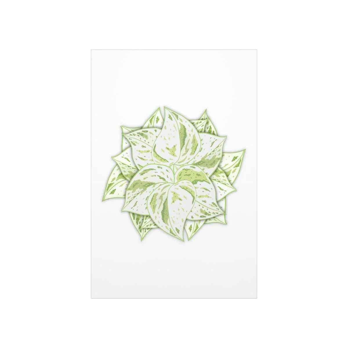 Snow Queen Pothos Print – Variegated Pothos Art on Museum Grade Paper Unframed