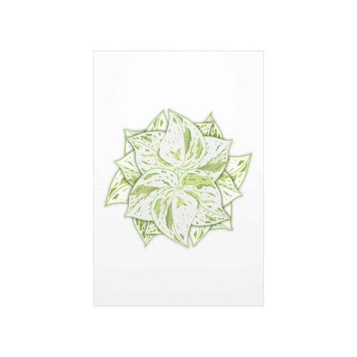Snow Queen Pothos Print – Variegated Pothos Art on Museum Grade Paper Unframed
