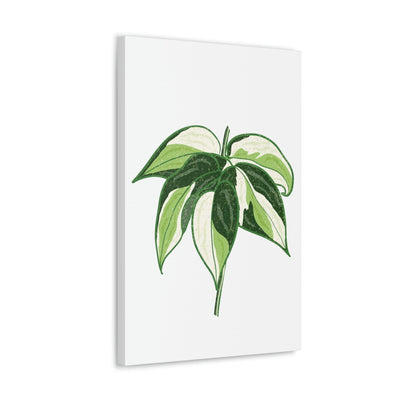 Philodendron 'Cream Splash' Canvas, Canvas, Printify, Art & Wall Decor, Canvas, Hanging Hardware, Home & Living, Indoor, Laura Christine Photography & Design, laurachristinedesign.com