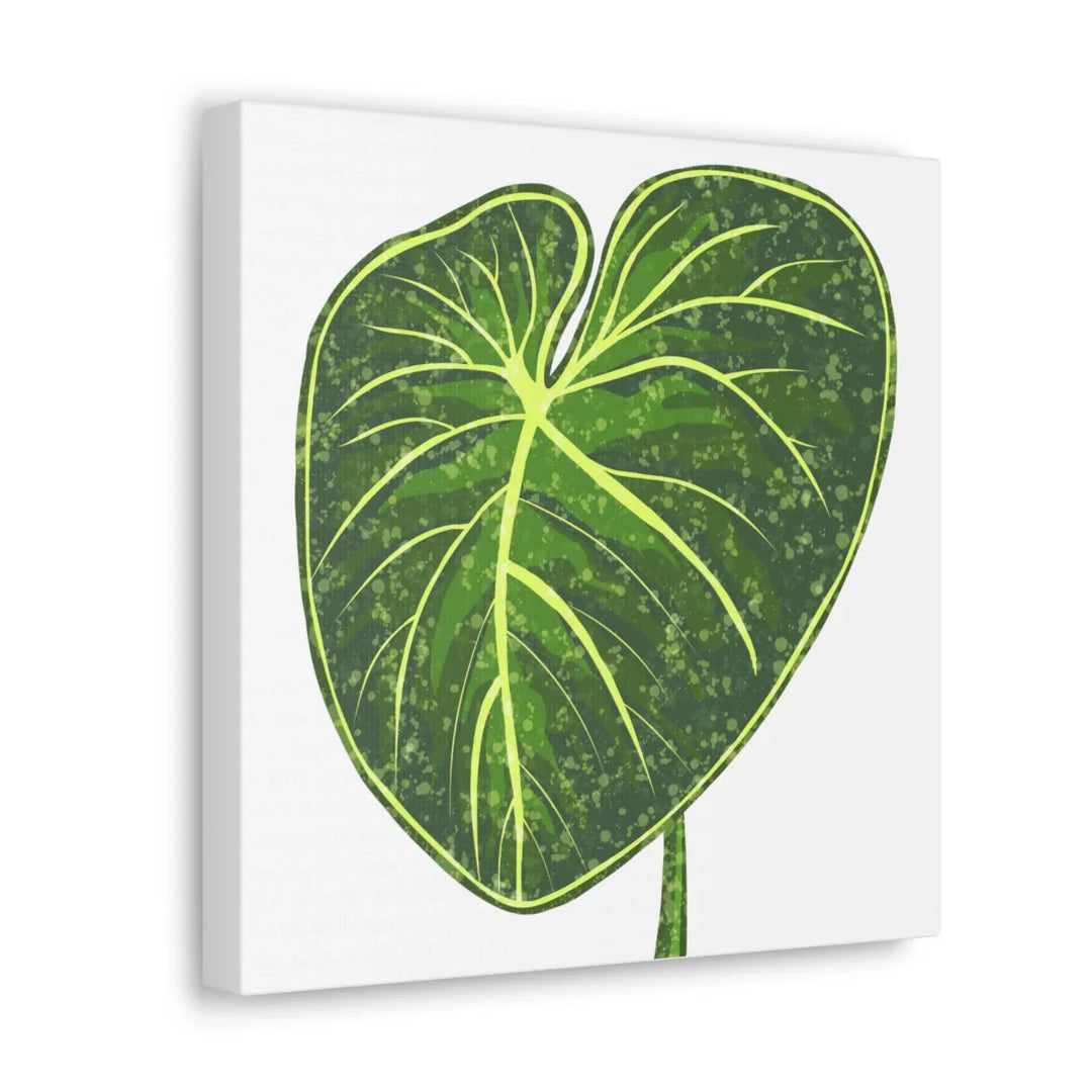 Philodendron Gloriosum Canvas - Stretched Canvas Art Print | Matte Indoor Wall Art - Laura Christine Photography & Design