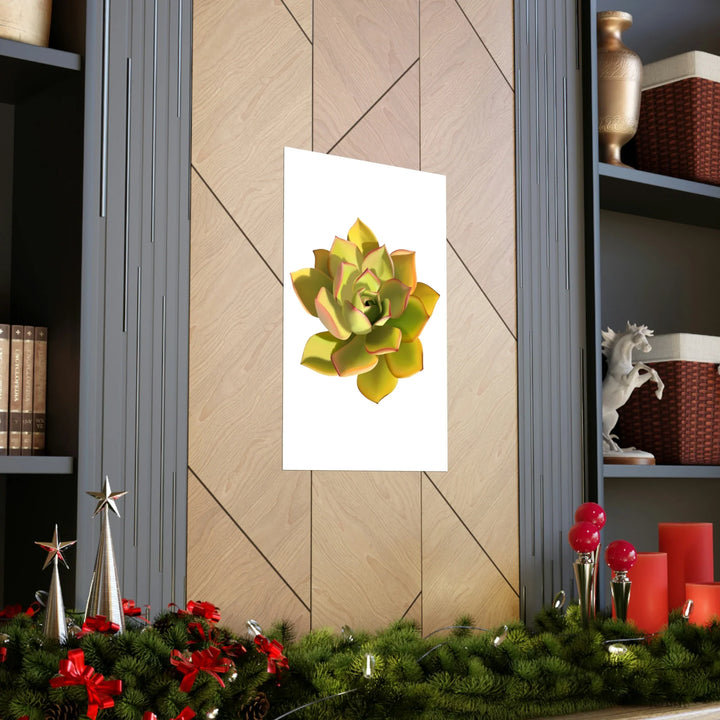 Noble Aeonium Print – Vibrant Succulent Wall Art on Museum-Grade Paper Poster Unframed