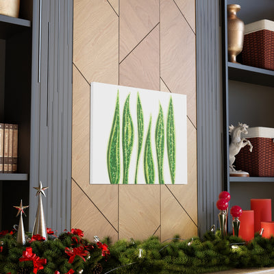 Snake Plant Canvas