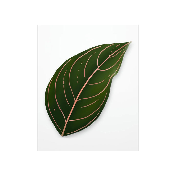 Aglaonema Rotundum Print – Botanical Wall Art on Museum Grade Paper | Unframed