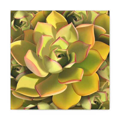 Noble Aeonium Succulent Pattern Canvas, Canvas, Printify, Art & Wall Decor, Canvas, Hanging Hardware, Home & Living, Indoor, Laura Christine Photography & Design, laurachristinedesign.com