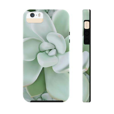 Pachyveria Haagei Succulent Phone Case, Phone Case, Printify, Accessories, Glossy, iPhone Cases, Matte, Phone accessory, Phone Cases, Samsung Cases, Laura Christine Photography & Design, laurachristinedesign.com