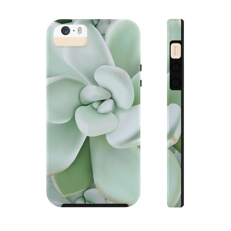 Pachyveria Haagei Succulent Phone Case, Phone Case, Printify, Accessories, Glossy, iPhone Cases, Matte, Phone accessory, Phone Cases, Samsung Cases, Laura Christine Photography & Design, laurachristinedesign.com