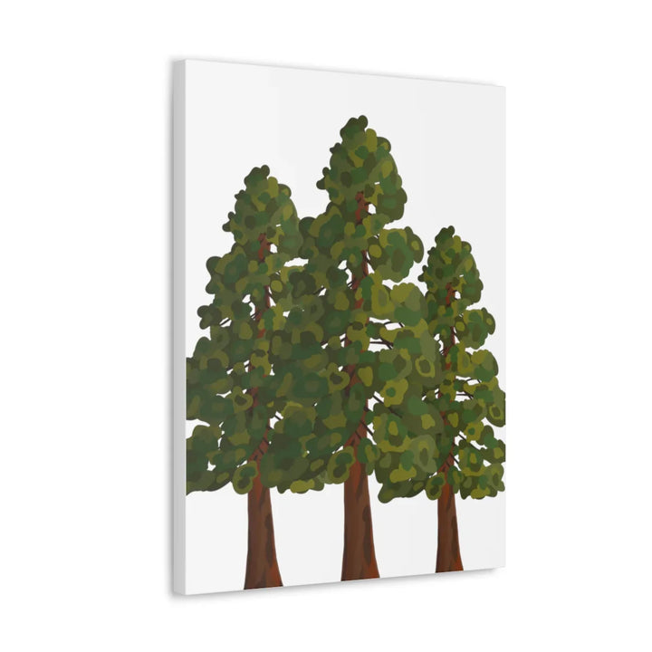 Coastal Redwoods Canvas - Stretched Cotton Canvas Art Print | Matte Finish Wall Hanging Artwork