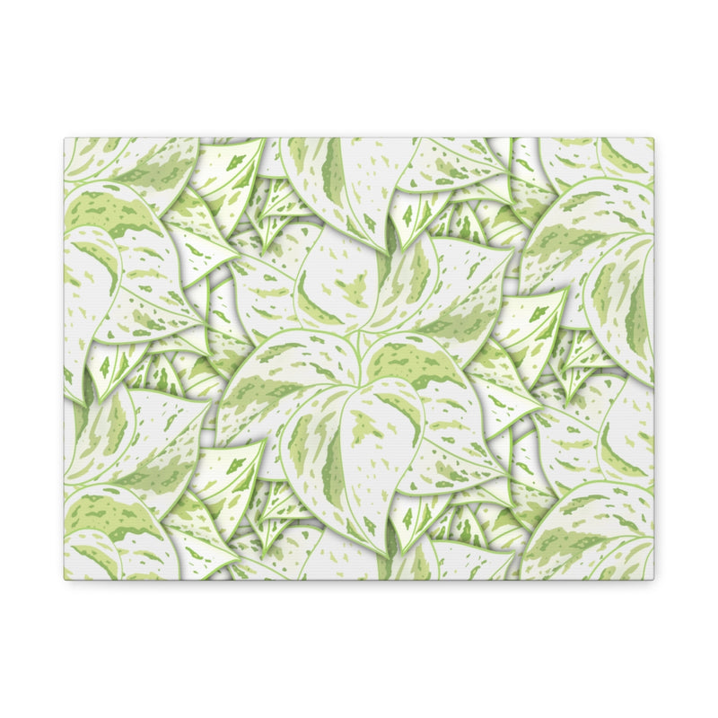 Snow Queen Pothos Canvas