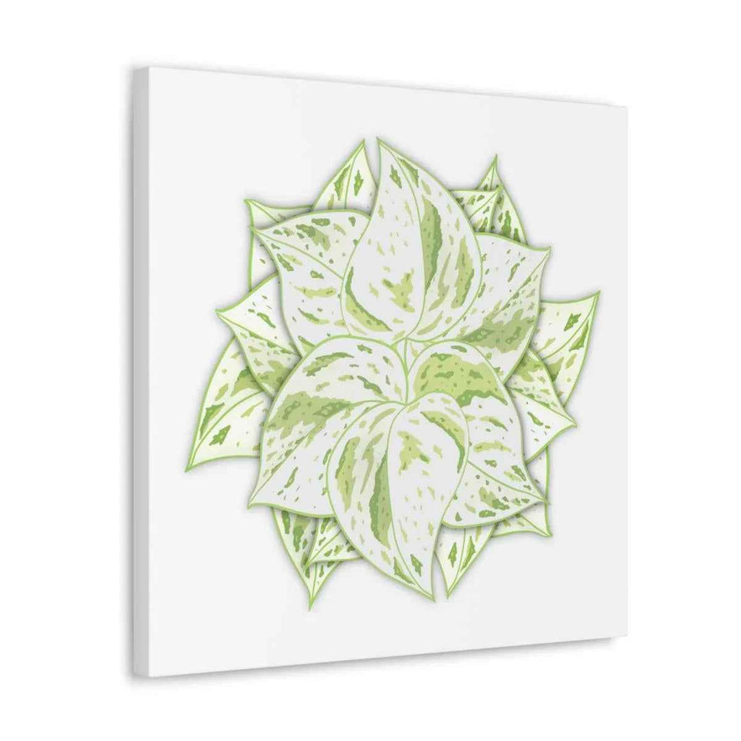Snow Queen Pothos Canvas – Variegated Leaf Canvas Art Print | Durable Cotton